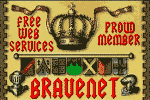 Bravenet Flag Graphic